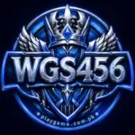 WGS456 Game